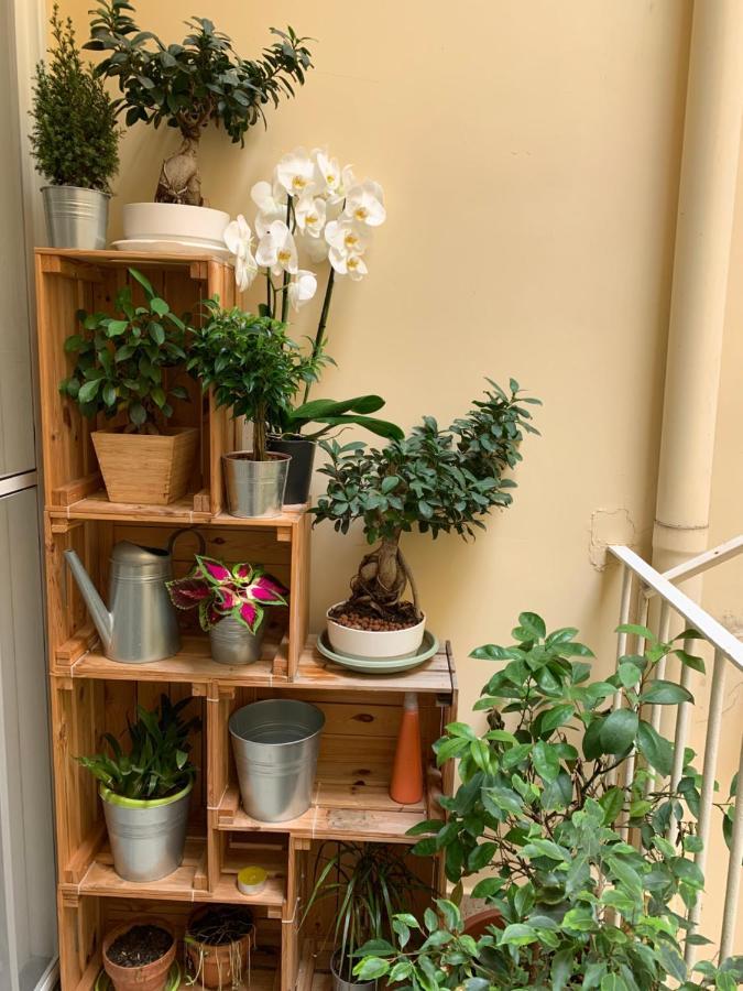 Raroom Boutique Home 토레델그레코 외부 사진